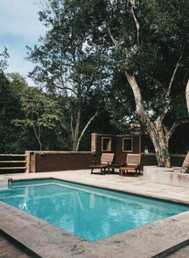 adheesha-paranagama-kOYh8C_xLUQ-unsplash