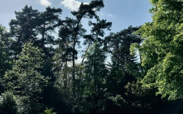 pj-dc-k2VRDXpjmFs-unsplash (1)